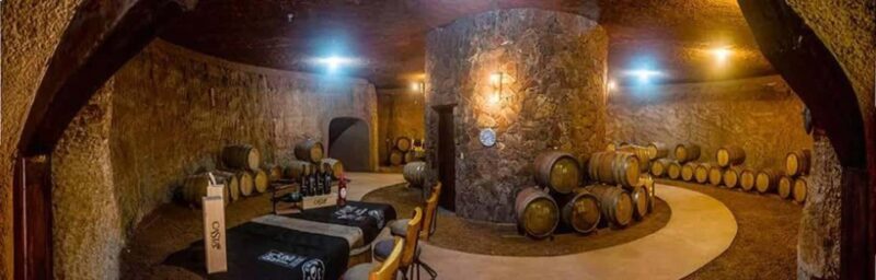 From Tijuana: Valle de Guadalupe Shared Winery Tour - Transportation, Timing, and Group Size