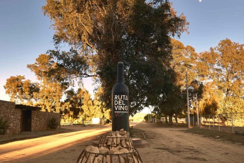 From Tijuana: Valle de Guadalupe Shared Winery Tour - Value and Overall Experience