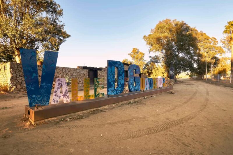 From Tijuana: Valle de Guadalupe Shared Winery Tour - Who Will Love This Tour?