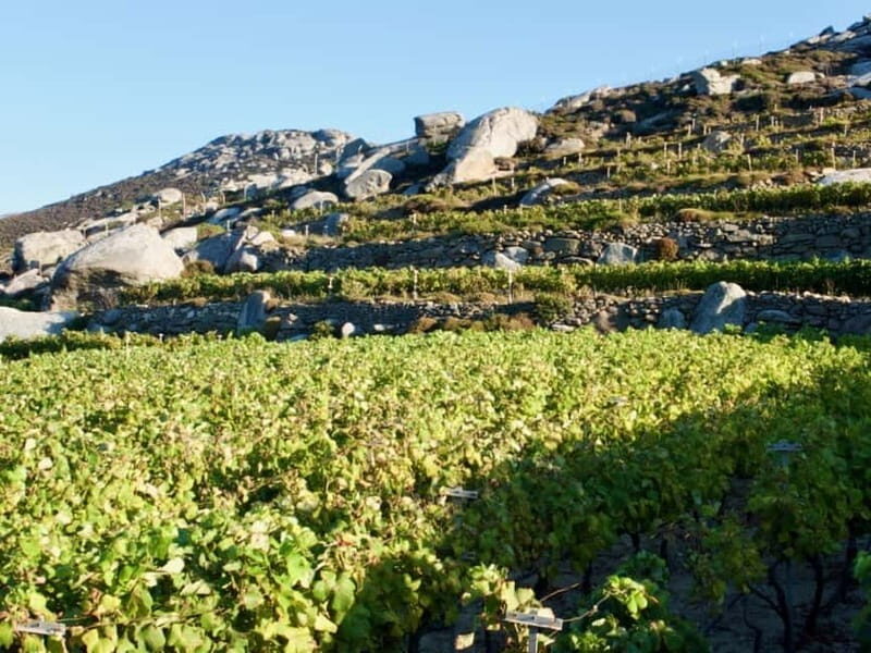 From Tinos: Stemnitsa Winery Tour with Tasting - Practical Tips for Travelers