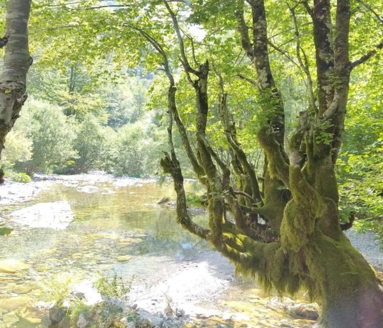 From Tirana: 2-Day Private Tour of Theth and Shkoder - The Sum Up: Why This Tour Stands Out