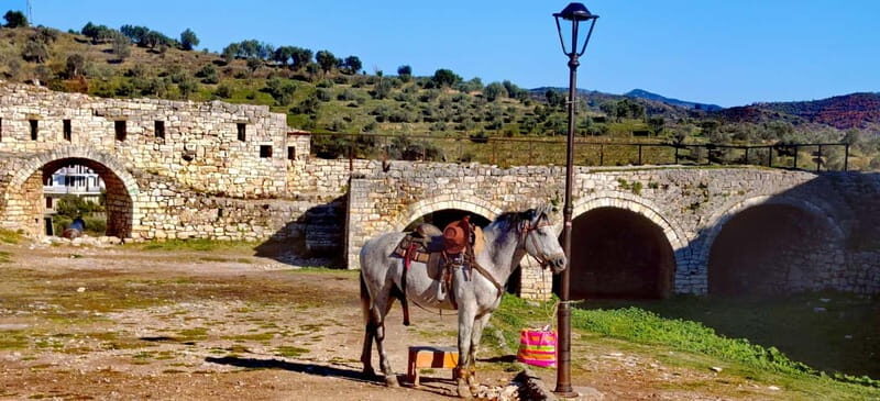 From Tirana: Berat City UNESCO Heritage and Belshi Lake Tour - The Value Proposition