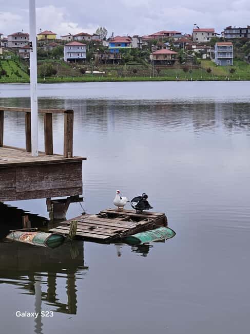 From Tirana: Berat Day Trip with Belshi Lake - Frequently Asked Questions