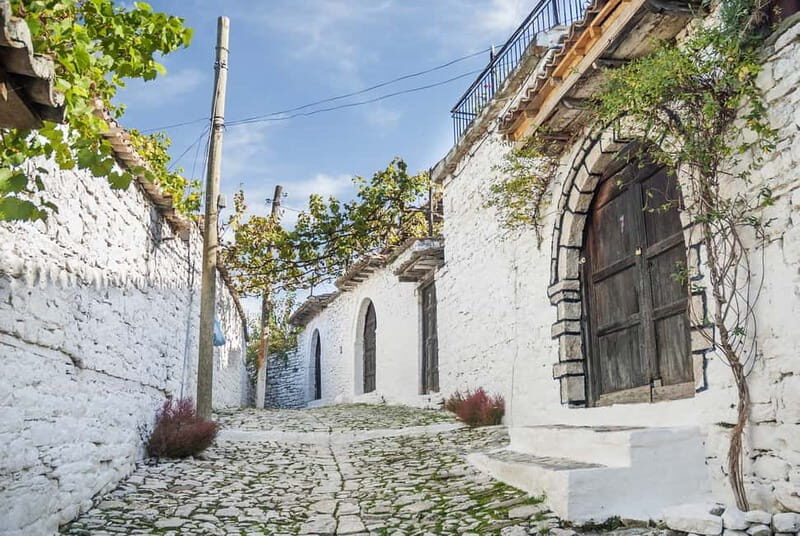 From Tirana: Berat Full-Day Tour - Pricing and Value