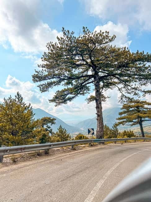 From Tirana: Day Trip at Sazan Island- Karaburun Peninsula - A Practical Overview of the Experience