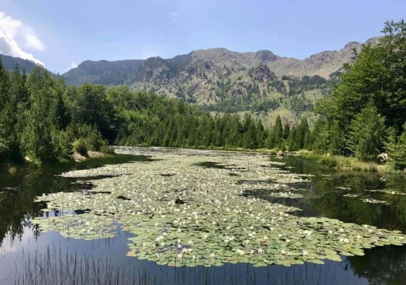 From Tirana: Dibër County Day Trip with Breakfast and Lunch - An In-Depth Look at the Dibër County Day Trip