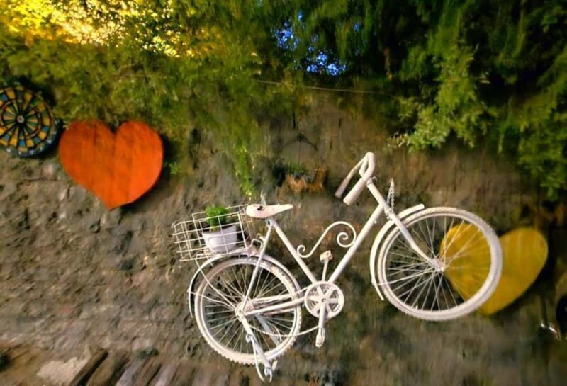 From Tirana/Durrës: Gjirokastër & Blue Eye Guided Day Trip - Return Journey and Reflection