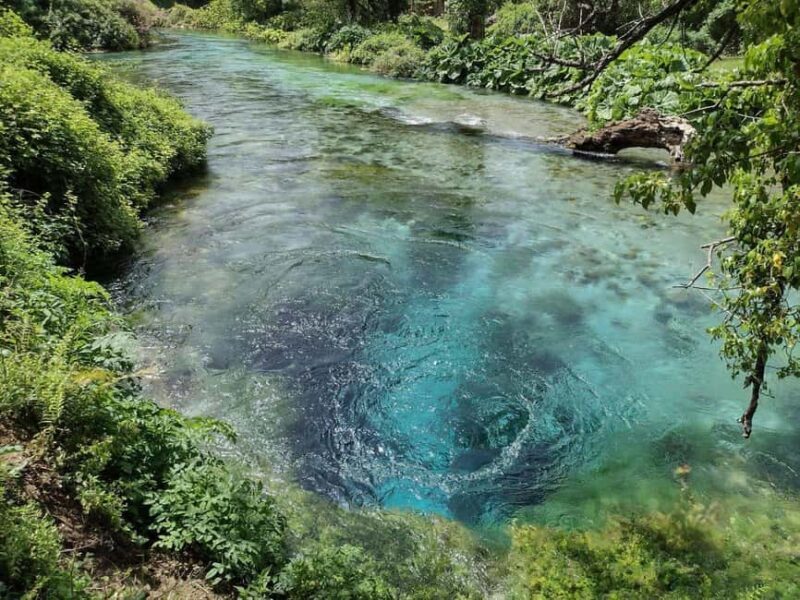 From Tirana/Durres: Gjirokastra UNESCO city & Blue Eye - Who Will Enjoy This Tour?