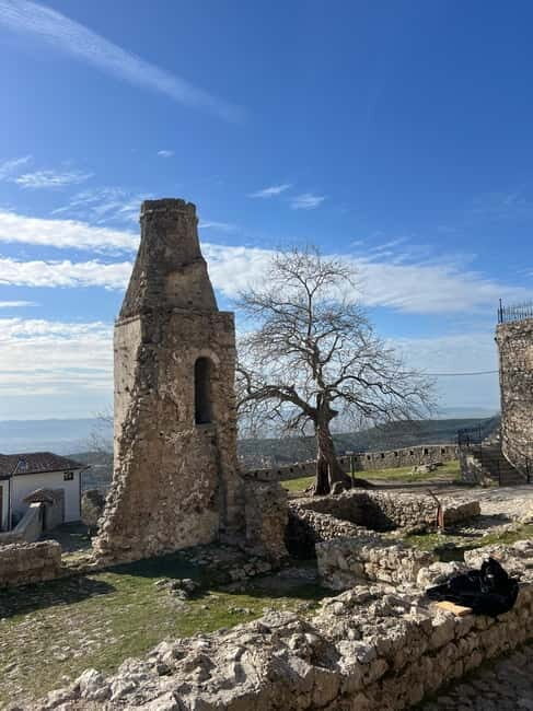 From Tirana/Durrës: Kruja Castle and Skanderbeg Museum Day - Who Would Enjoy This Tour?