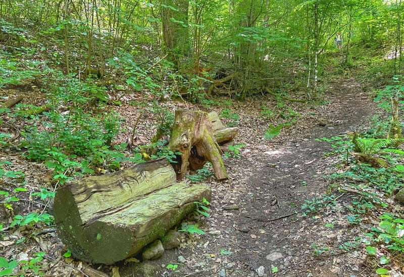 From Tirana/Shkodra: Komani Lake and Shala River Day Trip - Final Thoughts: Who Will Love This Tour?