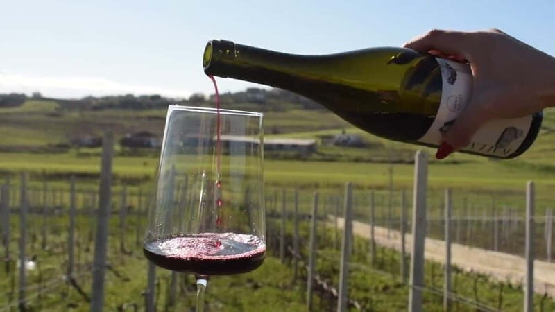 From Tirana: Wine Tasting & Durres Small Group Tour - Key Points
