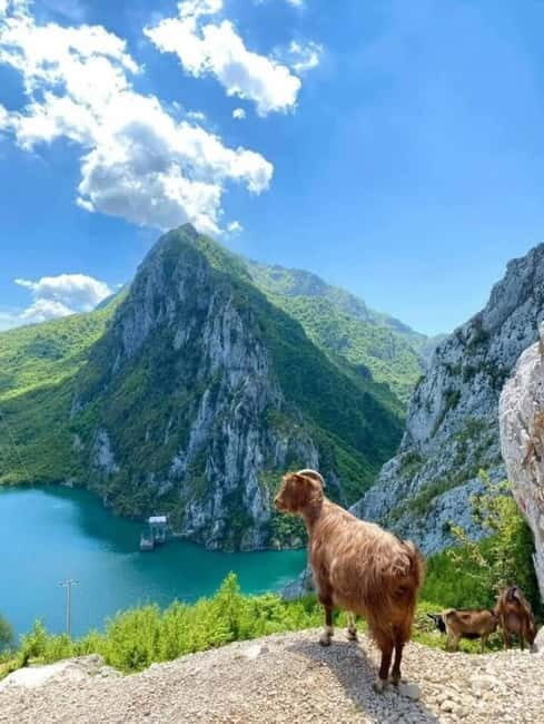 From Tirane To Bovilla Lake & Gamti Mountain SUNNSET TIME - An In-Depth Look at the Tirana to Bovilla Lake & Gamti Mountain Experience