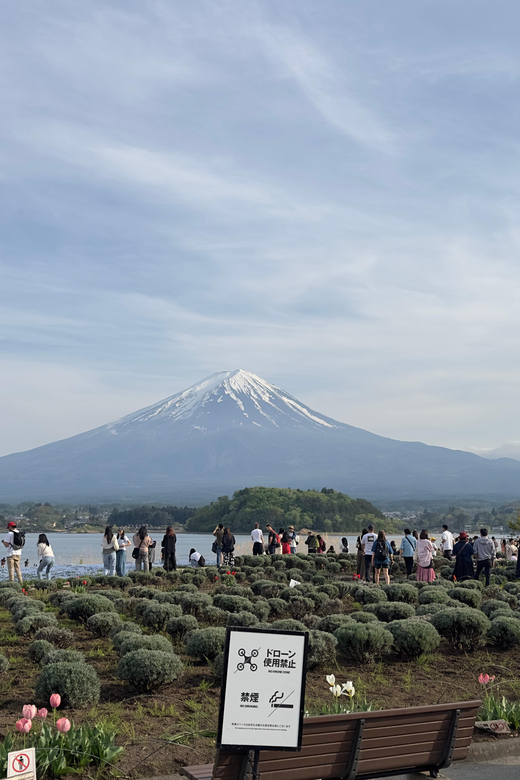 From Tokyo: 3 Day Private Tour (Mt.fuji, Nikko, Hakone) - Day 3: Hakone