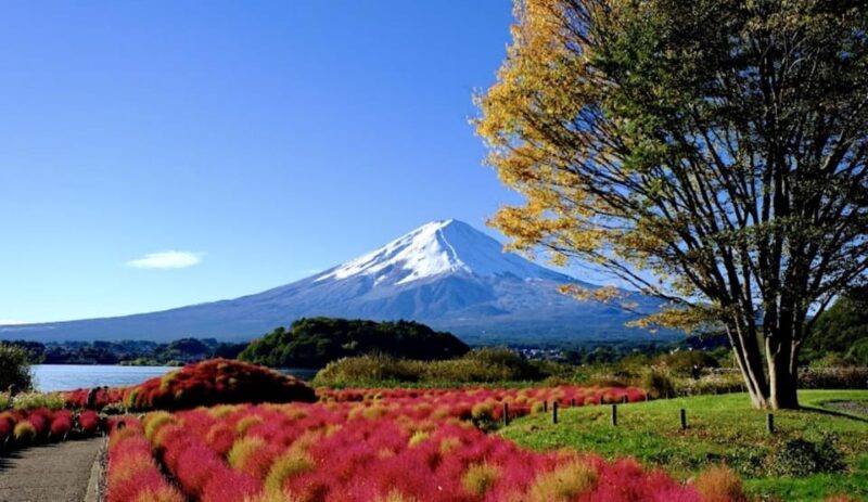 From Tokyo: Hakone 1 Day Private Tour With English Driver - Key Points