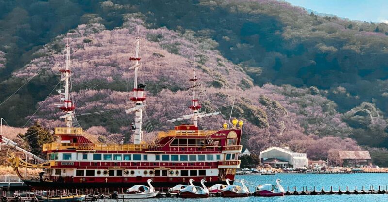 From Tokyo : Hakone Onsen , Nature and Art Day Tour - Key Points