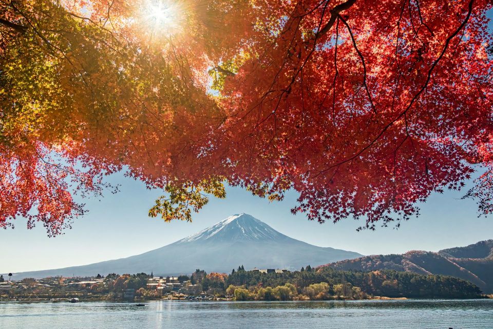 From Tokyo: Hakone, Owakudani, & Lake Kawaguchi Day Tour - Optional Museum Visit