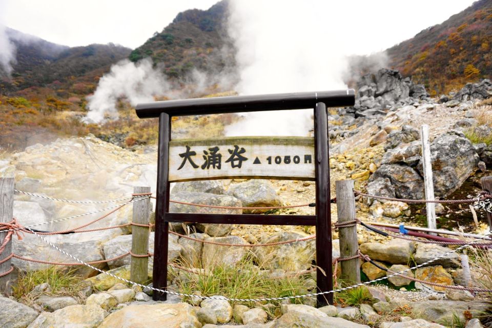 From Tokyo: Hakone, Owakudani, & Lake Kawaguchi Day Tour - Important Considerations