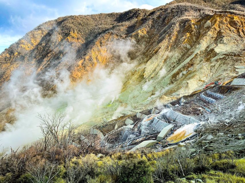 From Tokyo: Hakone, Owakudani, & Lake Kawaguchi Day Tour - Frequently Asked Questions