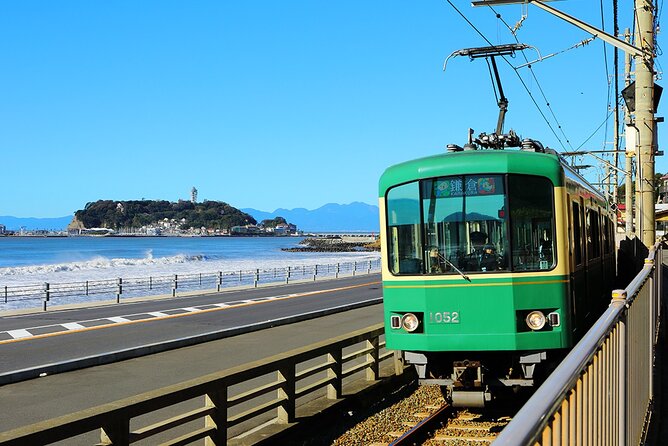 From Tokyo Kamakura, Hachimangu Shrine and Enoshima Full Day Tour - Tour Experience and Feedback