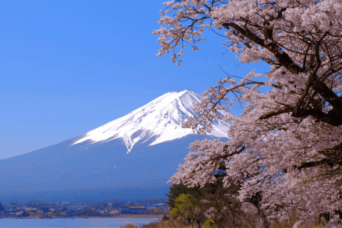 From Tokyo: Mount Fuji and Fuji 5 Lakes Private Guided Tour - Booking Information