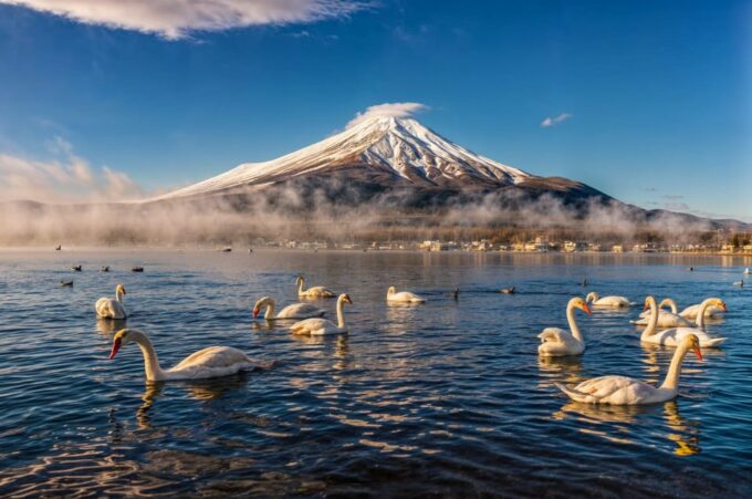 From Tokyo: Mount Fuji and Hakone Full Day Trip - Customer Feedback
