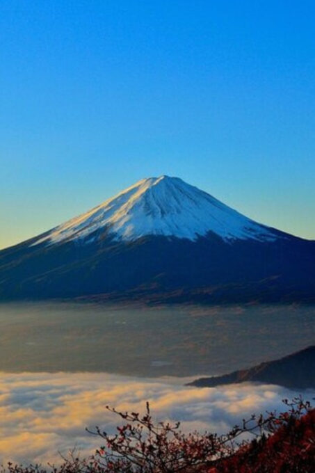 From Tokyo: Mount Fuji Day Trip By English Speaking Driver - Customer Reviews and Ratings