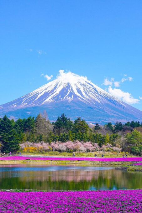 From Tokyo: Mount Fuji Day Trip With English Speaking Driver - Frequently Asked Questions