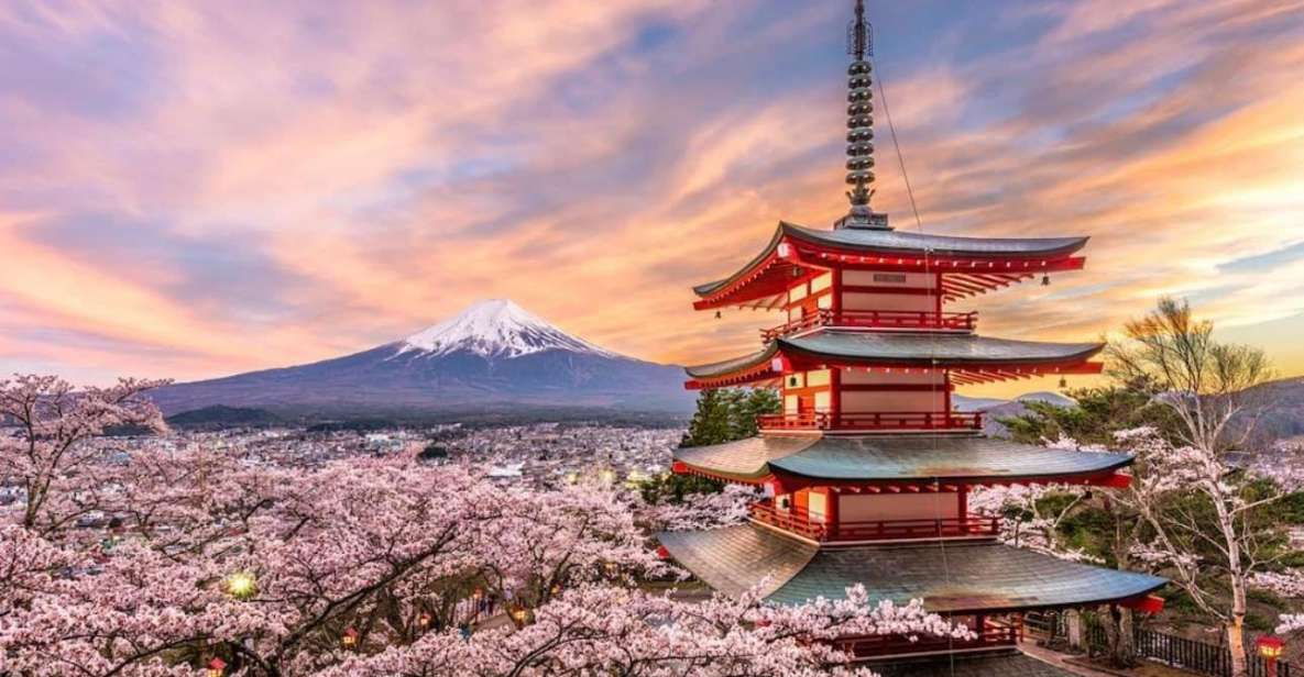From Tokyo: Mount Fuji Day Trip With English Speaking Driver - Overview of the Mount Fuji Day Tour