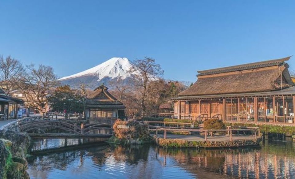 From Tokyo: Mount Fuji Full Day Private Tours English Driver - Mount Fuji 5th Station Viewpoint