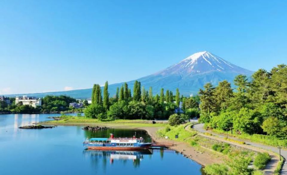 From Tokyo: Mount Fuji Full Day Private Tours English Driver - Oishi Park and Shrine Visits