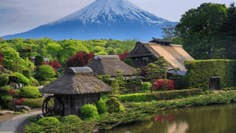 From Tokyo: Mount Fuji Private Day Trip - Accessibility Features