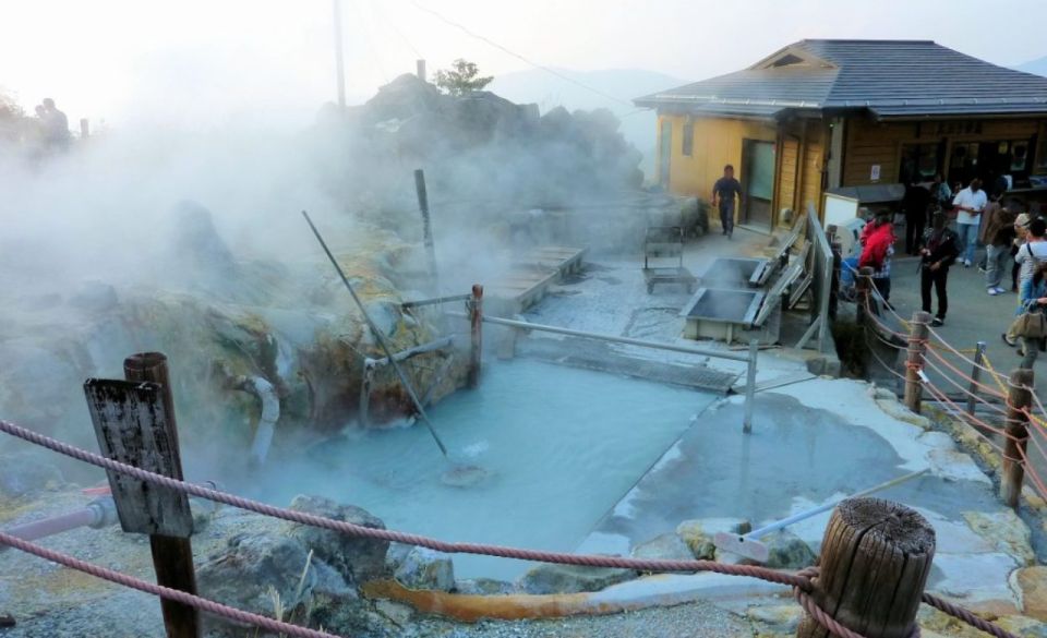 From Tokyo: Mount Fuji Private Sightseeing Day Trip - Oshino Hakkai Exploration