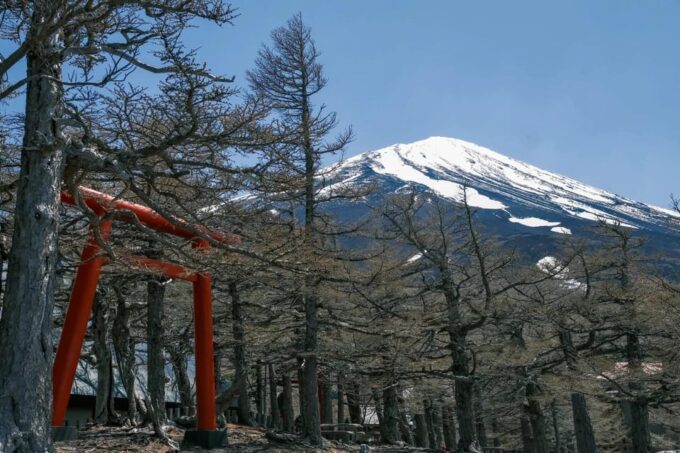 From Tokyo: Mt Fuji, 5th Station, & Hot Springs Day Trip - Recap