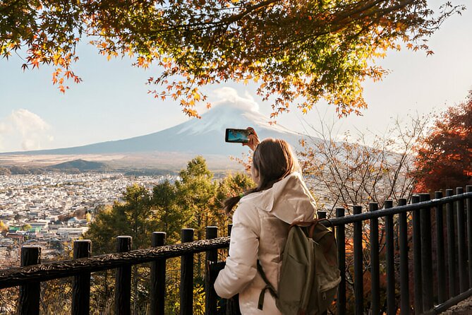 From Tokyo: Mt Fuji and Hakone Private Day Trip - Transportation and Accessibility