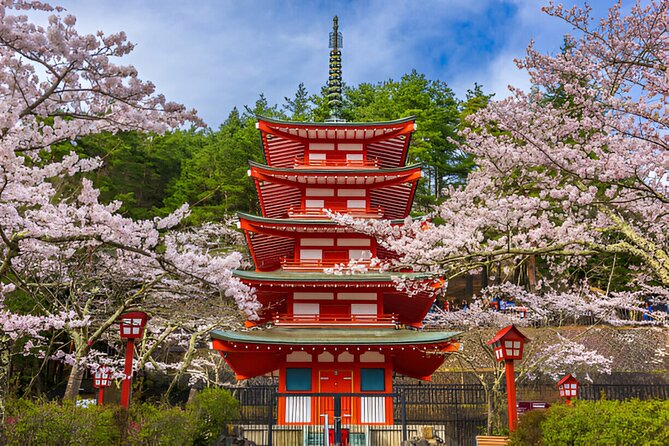 From Tokyo: Mt Fuji and Hakone Private Day Trip - Meeting and Pickup Details