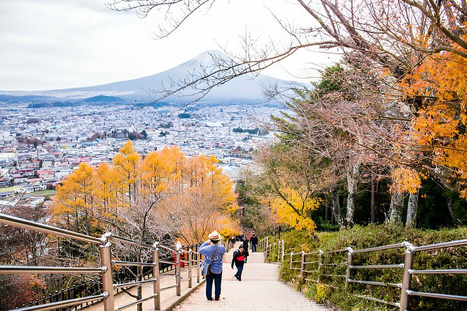 From Tokyo: Mt Fuji and Hakone Private Day Trip - Itinerary and Activities