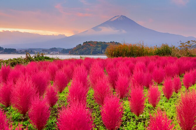 From Tokyo: Mt Fuji and Hakone Private Day Trip - Exploring Hakone