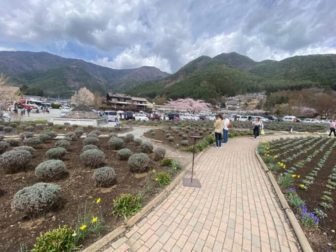 From Tokyo: Mt. Fuji Full-Day Unforgetable Sightseeing Trip - What to Bring