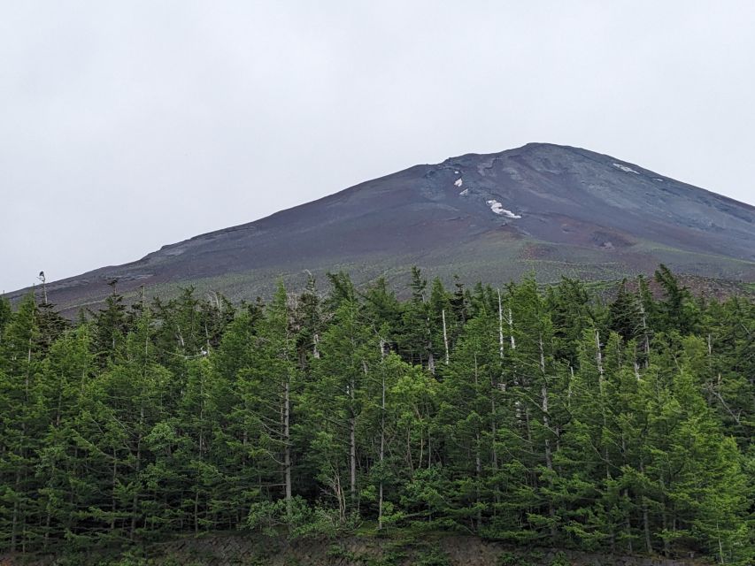 From Tokyo: Mt. Fuji & Hakone Tour W/ Return by Bullet Train - Alternate Attractions