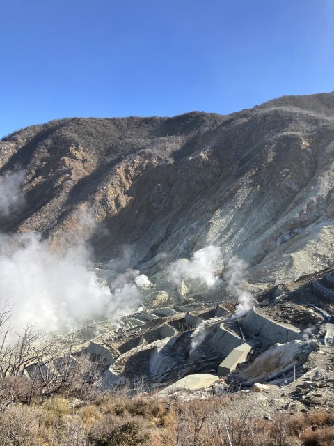 From Tokyo: Mt. Fuji & Hakone Tour W/ Return by Bullet Train - Meeting Point and Directions