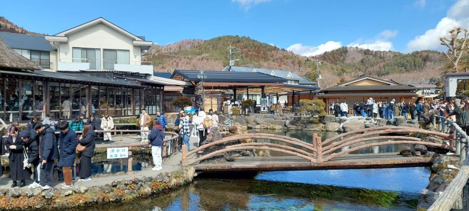 From Tokyo: Mt. Fuji Sightseeing Private Day Tour - Highlights