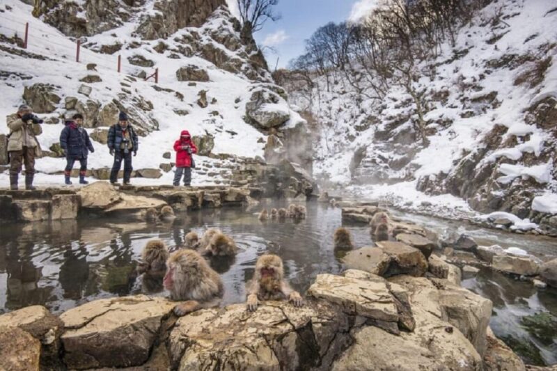 From Tokyo: Nagano Private Full Day Trip - Key Points