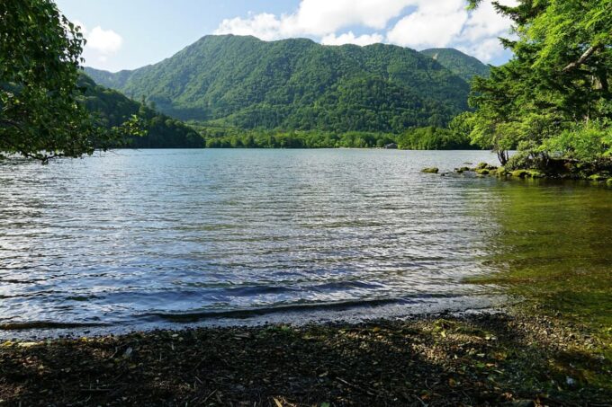 FROM TOKYO: NIKKO WORLD HERITAGE SIGHTS PRIVATE TOUR - Booking and Cancellation Policy