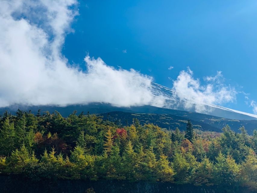 From Tokyo: Private Mount Fuji & Hakone Full-Day Guided Trip - Customize Your Tour