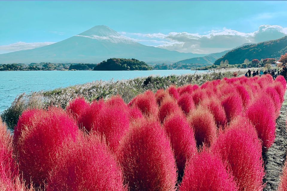 From Tokyo: Private Sightseeing Tour to Mount Fuji & Hakone - Key Points