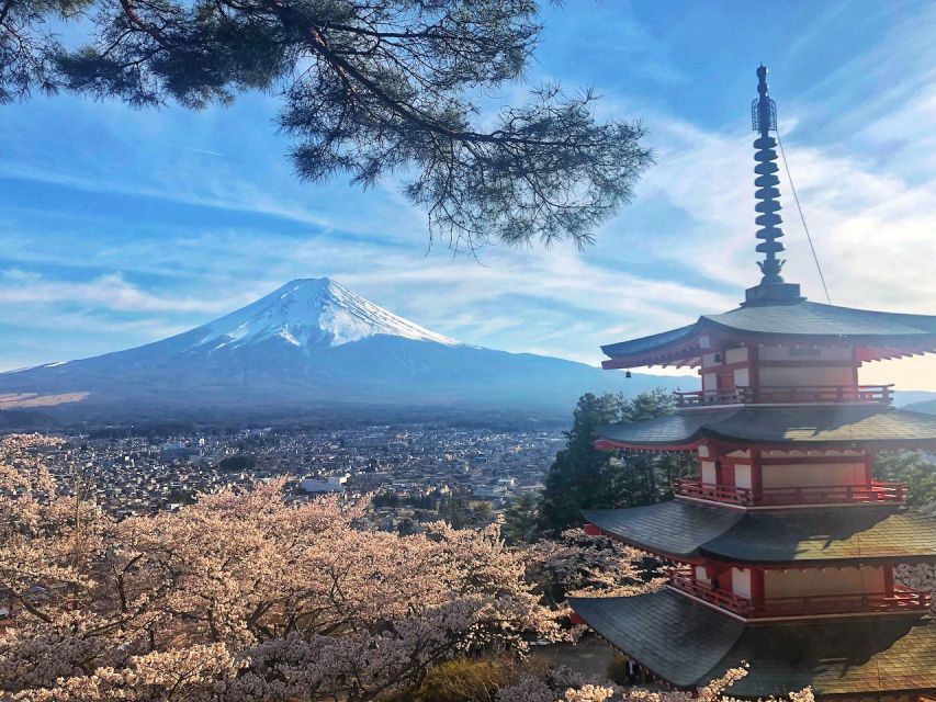 From Tokyo: Private Trip to Mount Fuji and Lake Kawaguchi - Pickup and Transportation Details