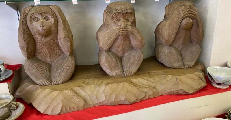 From Tokyo: Snow Monkey Park & Zenko-ji Temple Private Tour - Itinerary Highlights