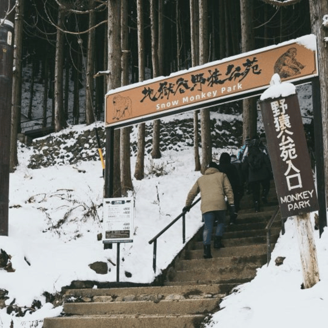 From Tokyo: Snow Monkey Park & Zenko-ji Temple Private Tour - Inclusions and Exclusions