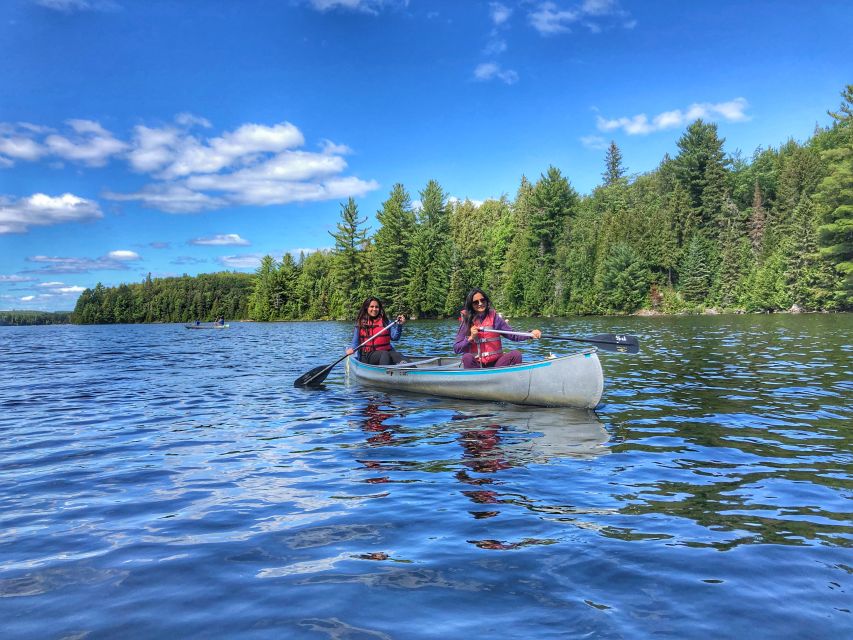 From Toronto: Algonquin Park Hiking Adventure Tour - Guided Hiking Experiences
