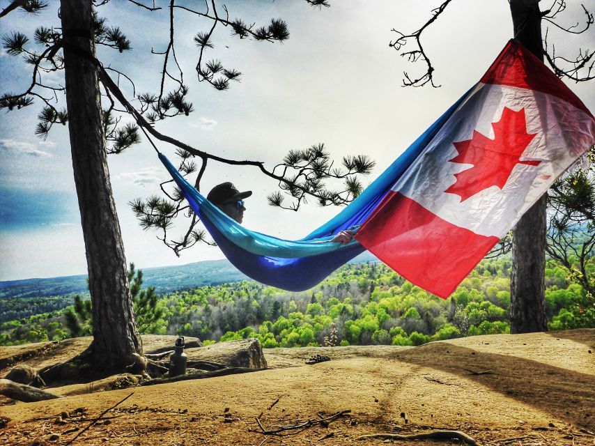 From Toronto: Algonquin Park Hiking Adventure Tour - Wildlife Observation Opportunities